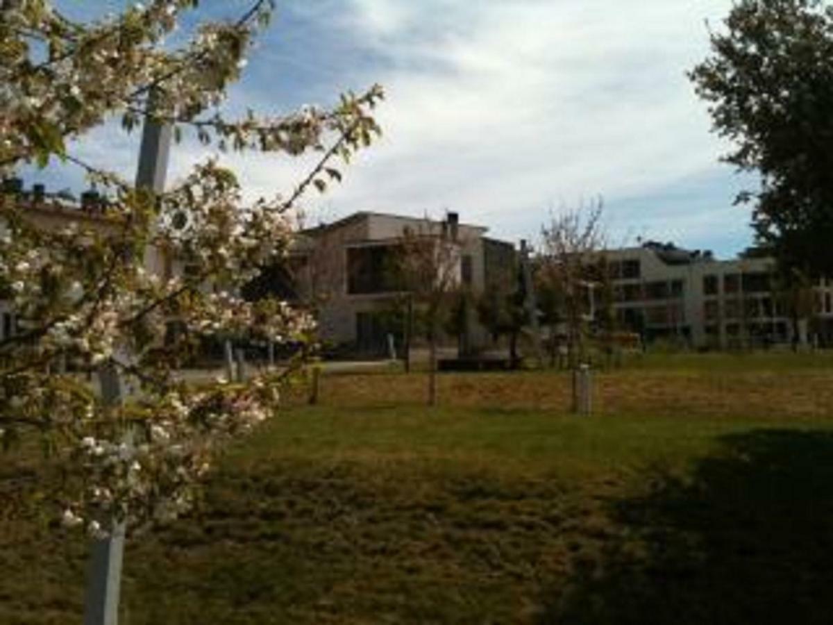 Apartament Alta Montana - Golf & Relax - Pirineo De Huesca - Valle De Tena *